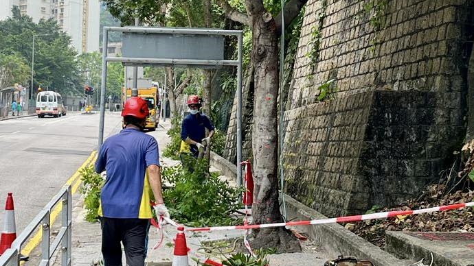 發展局及轄下部門已採取各項防風措施,包括拆除有明顯危險招牌、處理有風險路旁樹木。發展局fb