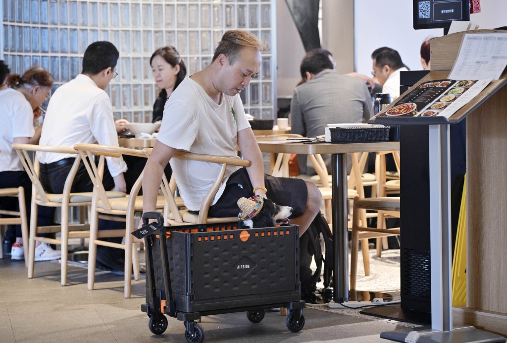 獲批的食肆有不少為連鎖店。
