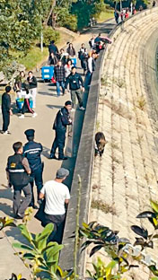 昨日有野猪于大埔出现，需出动警员「追捕」。