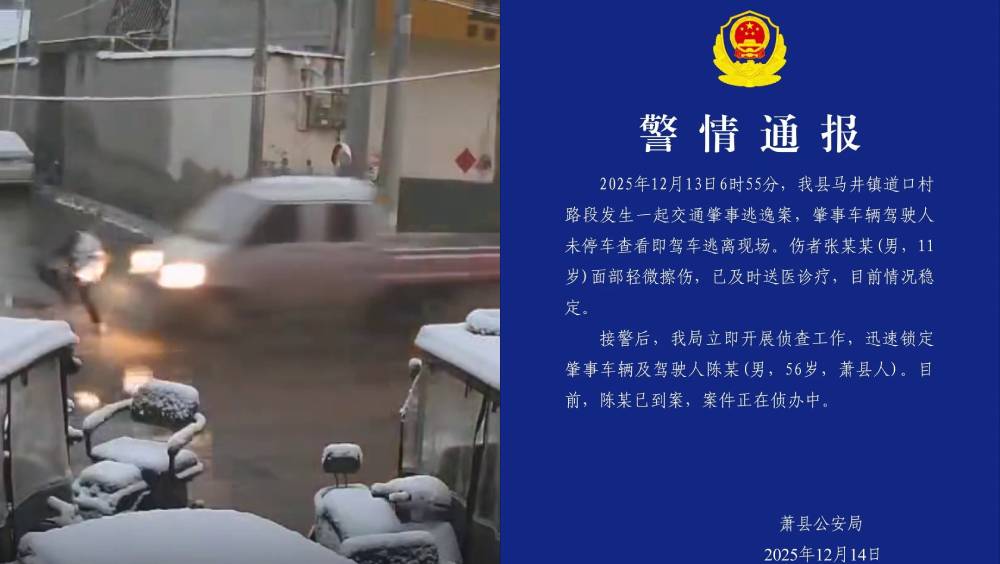 小貨車撞飛11歲男孩後逃逸，安徽肇事男司機到案。 