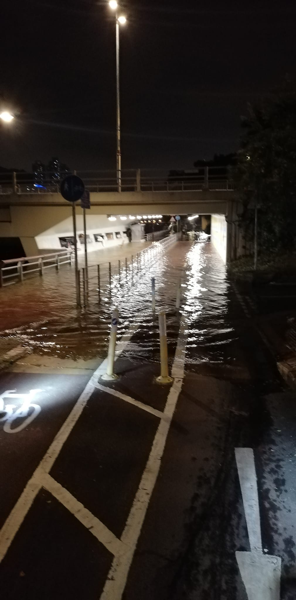 沙田城門河水位湧上行人路及單車路。網上圖片