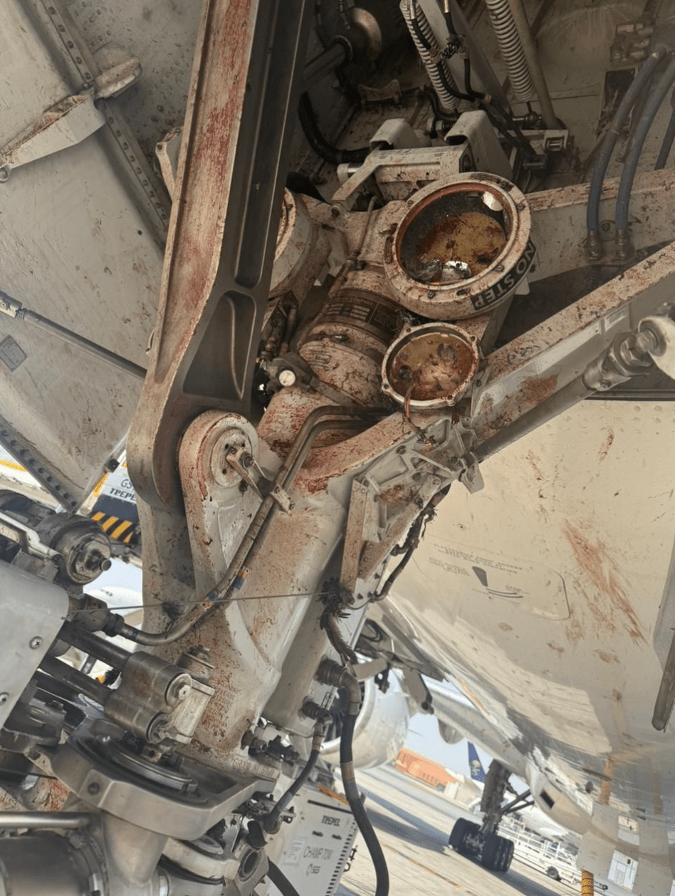 趗落架也滿佈血迹。X@Defense785