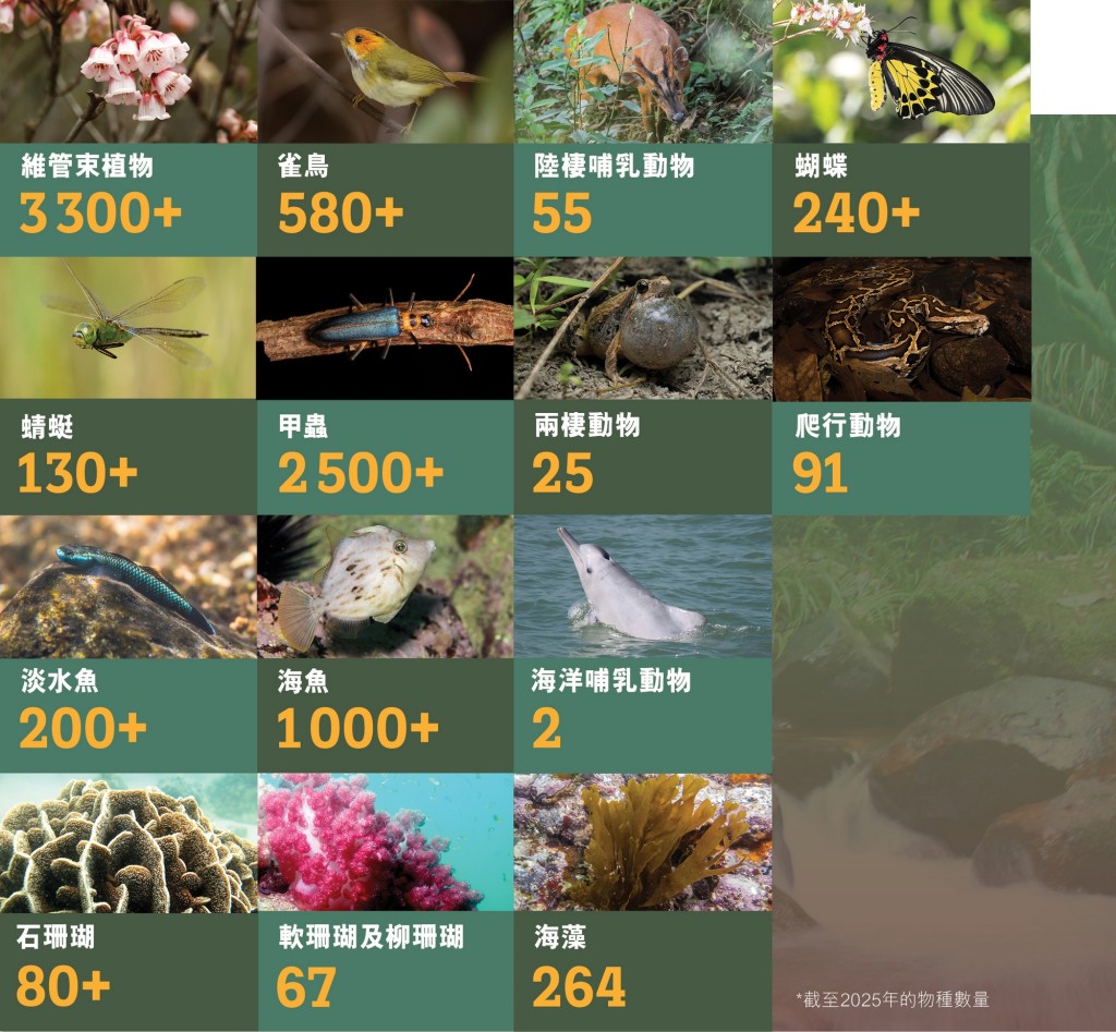 香港生物多樣性豐富