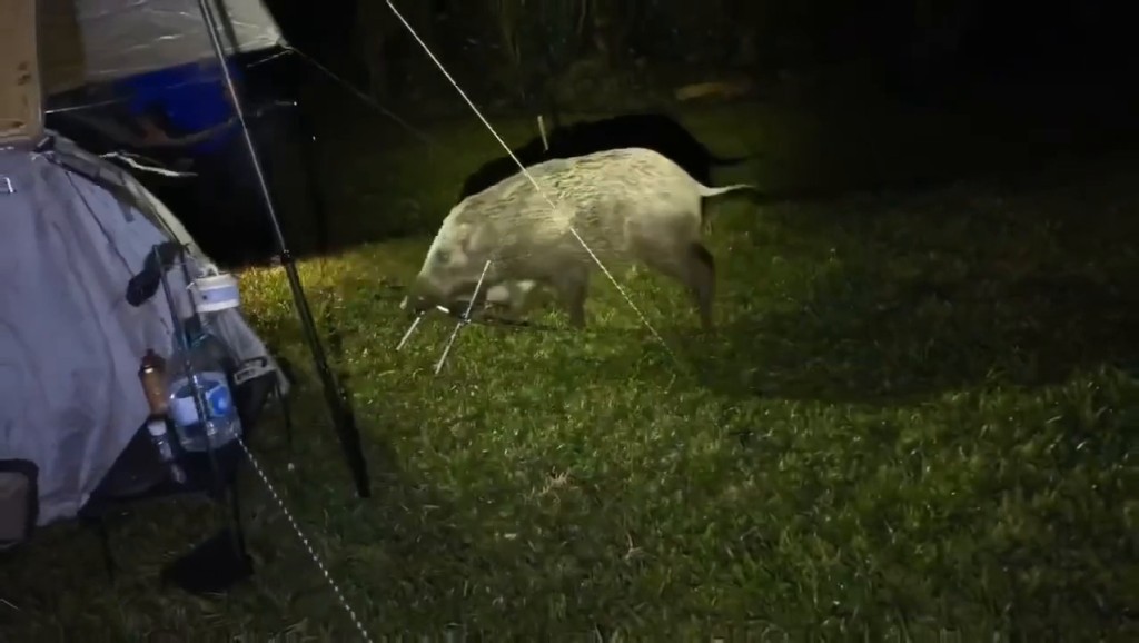 Threads截圖(資料來源:szewai_li@Threads) Threads截圖(資料來源:szewai_li@Threads)