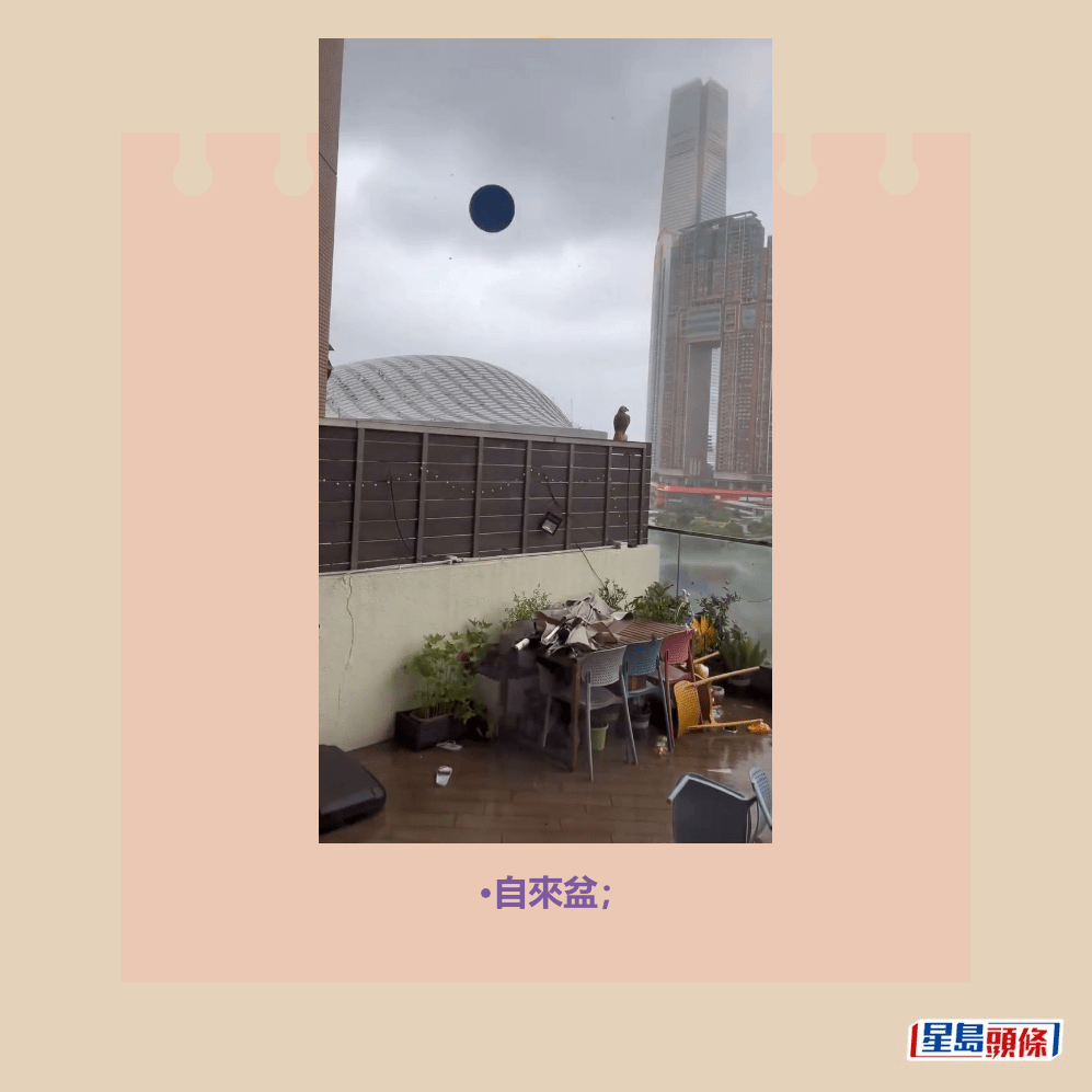 •自來盆；Threads截圖