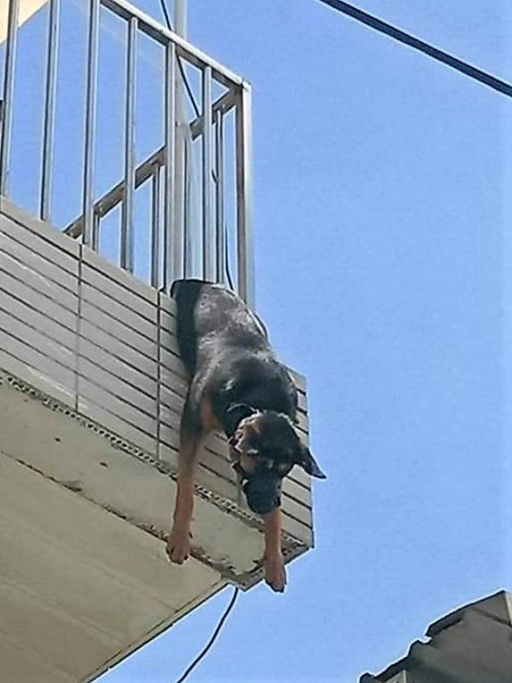 網圖