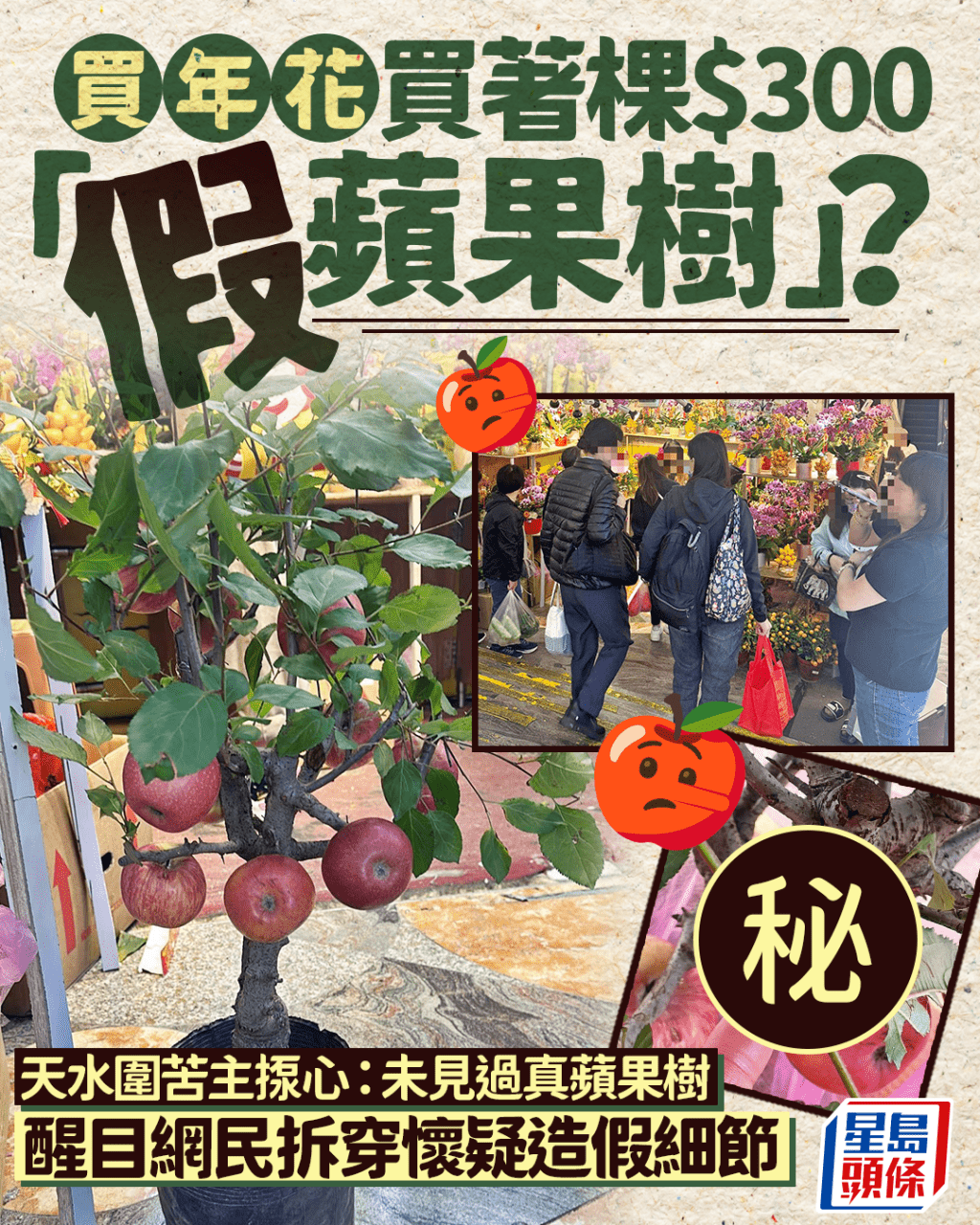 买年花买著棵$300“假苹果树”？ 天水围苦主揼心 醒目网民拆穿怀疑造假细节｜Juicy叮