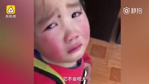 四川善心妹妹撿流浪狗藏書包。網上圖片