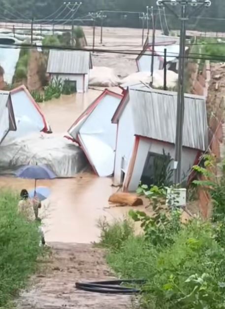 陝西志丹連日暴雨引發大洪水，過百輛汽車被沖毀。