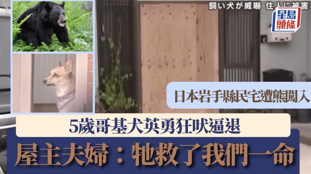 Youtube@menkoichannel / Alamy