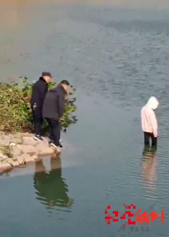 網圖