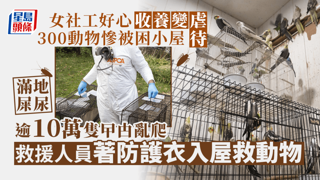 紐約女社工收養300隻動物,因環境惡劣被控虐待動物。