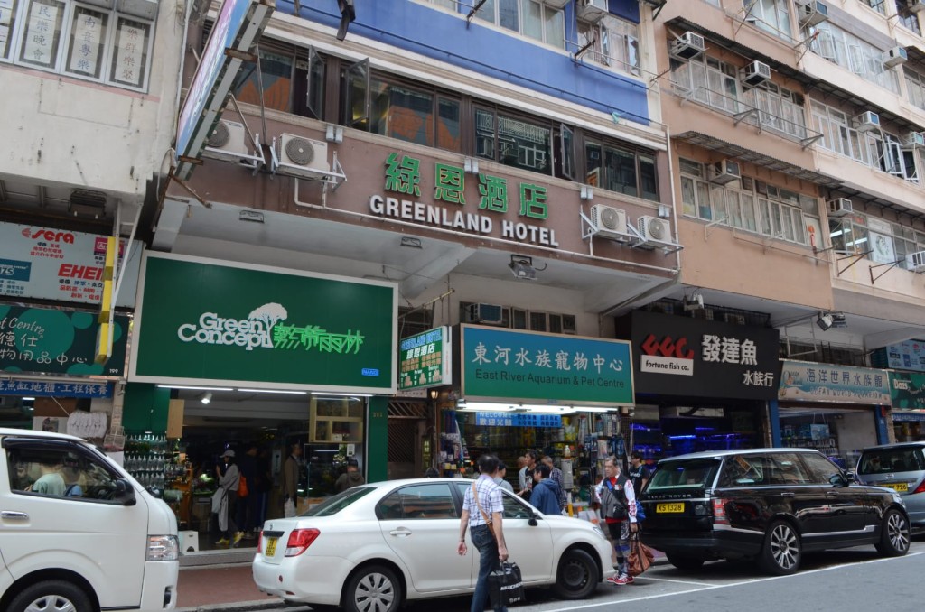 警方在旺角區拘捕4名內地男女,他們涉嫌與該區兩宗盜竊案有關。 歐陽偉光攝