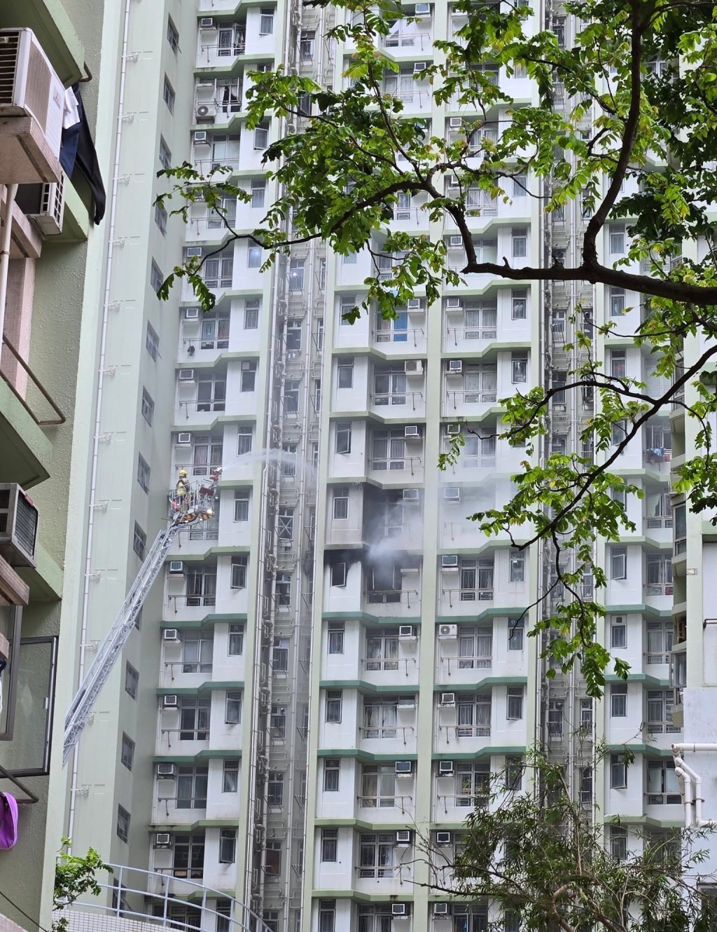 消防員升起雲梯救火。網上圖片