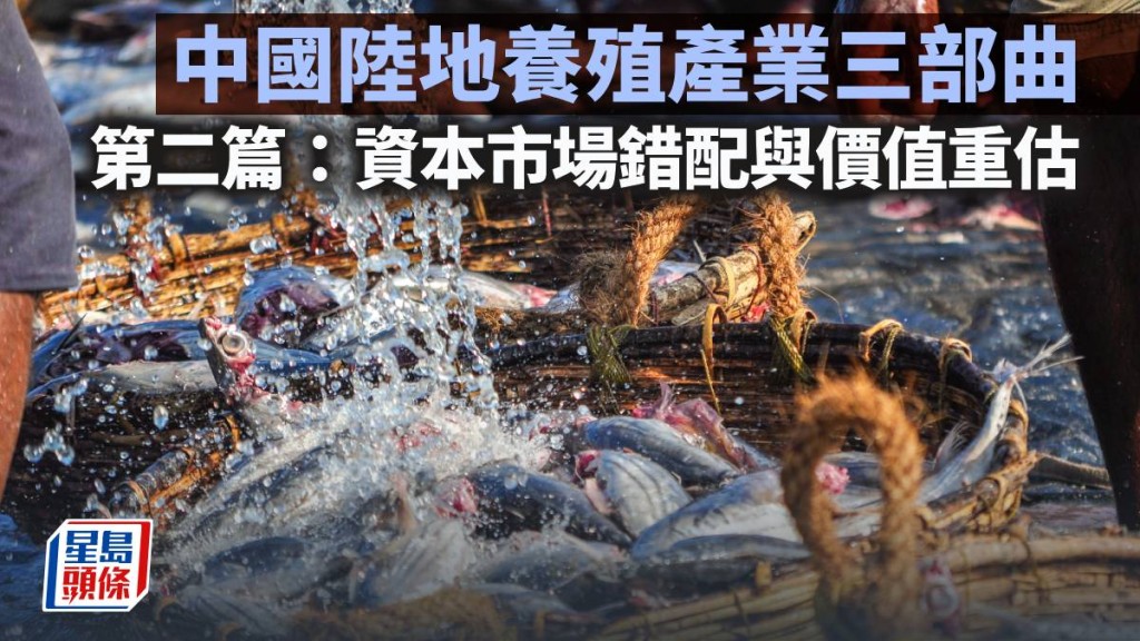 中國陸地養殖產業三部曲 第二篇：資本市場錯配與價值重估｜陳新燊