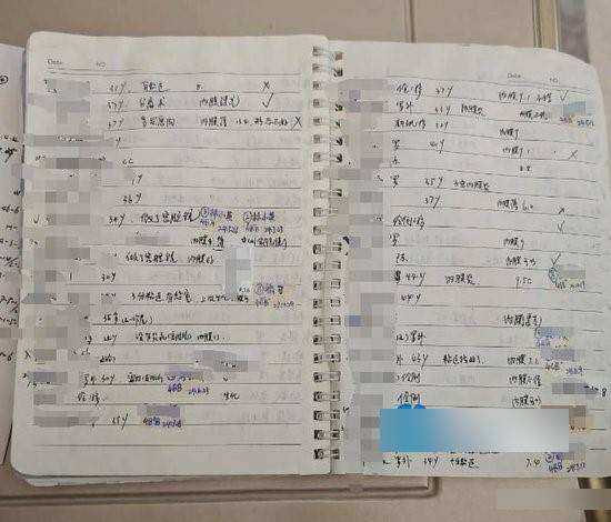 記筆記詳細記錄代孕女的個人資料。大象新聞 記筆記詳細記錄代孕女的個人資料。大象新聞