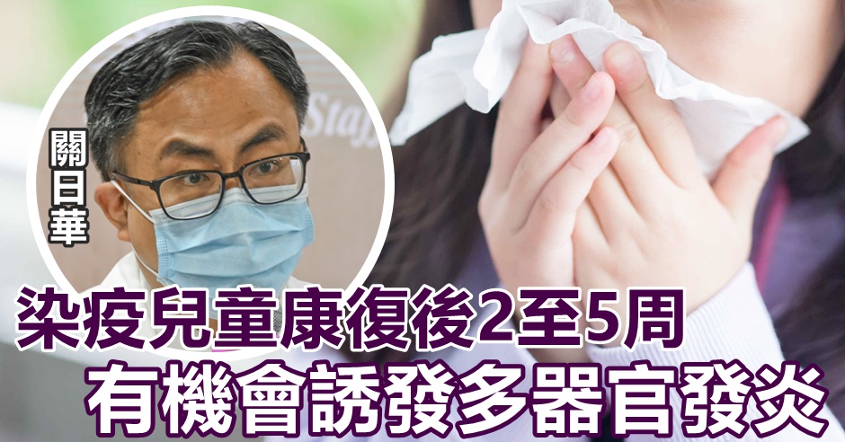 網圖(示意圖)；細圖為資料圖片