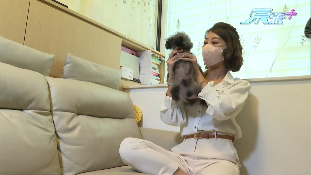 狗主讲述丈夫带8岁大的贵妇狗Hana去宠物店冲凉发生事故。