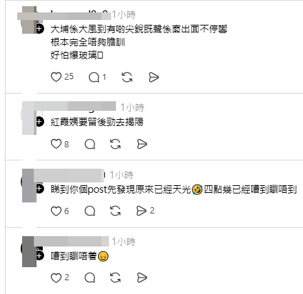 網民分享各區打風情況(帖文留言截圖) 網民分享各區打風情況(帖文留言截圖)