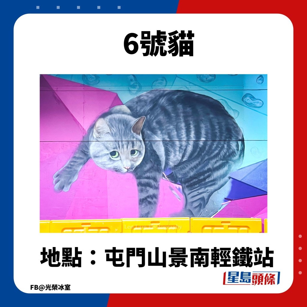 猫猫壁画｜6号猫
