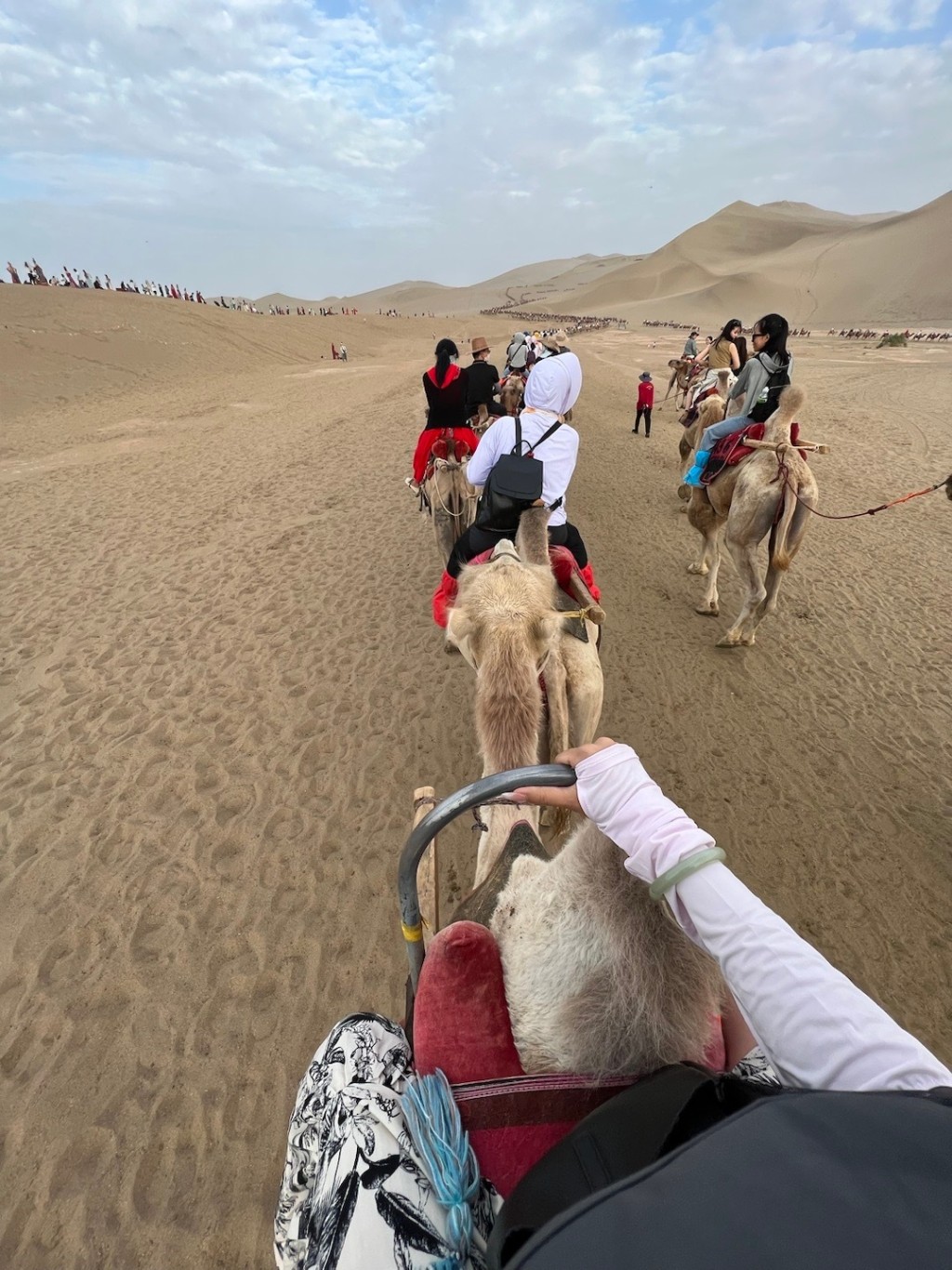 骑骆驼是游敦煌的一个热门活动。微博