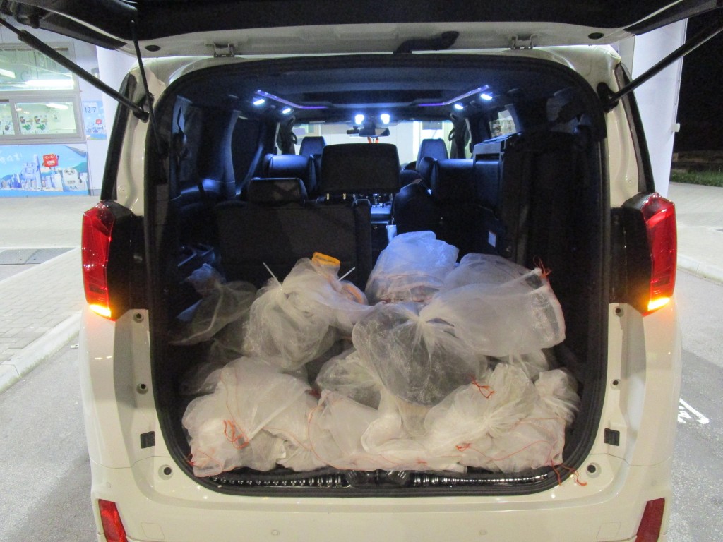 海關人員發現42隻懷疑受管制瀕危物種的活龜藏於車尾行李箱內。海關圖片 海關人員發現42隻懷疑受管制瀕危物種的活龜藏於車尾行李箱內。海關圖片