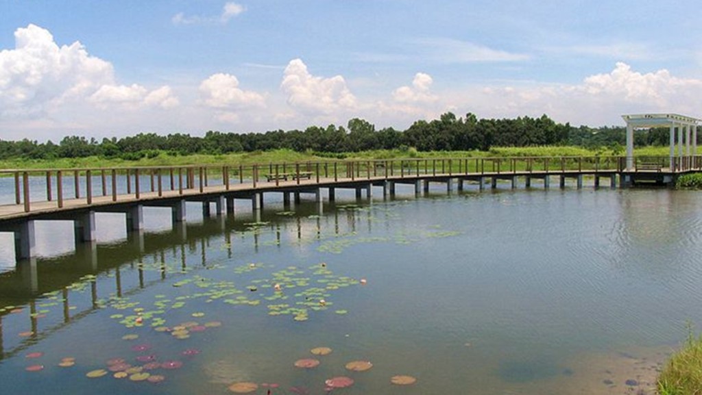 天水圍天龍路污水渠損壞,渠務處正搶修,濕地公園暫未受影響。資料圖片