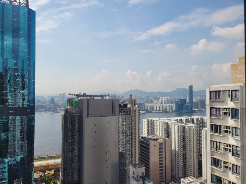 此租盤面向維港，可看部分海景。