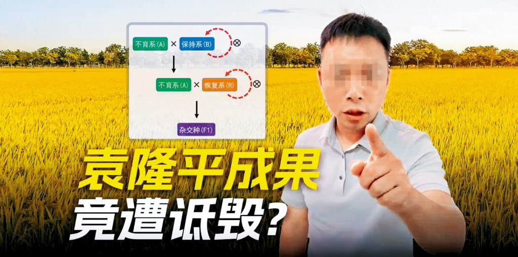 农业网红「杨授教」诋毁袁隆平水稻育种技术。