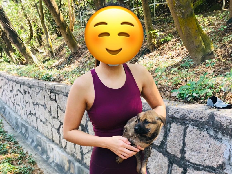 女網民事後決定領養小唐狗。網民Helen Kitty Chan圖片