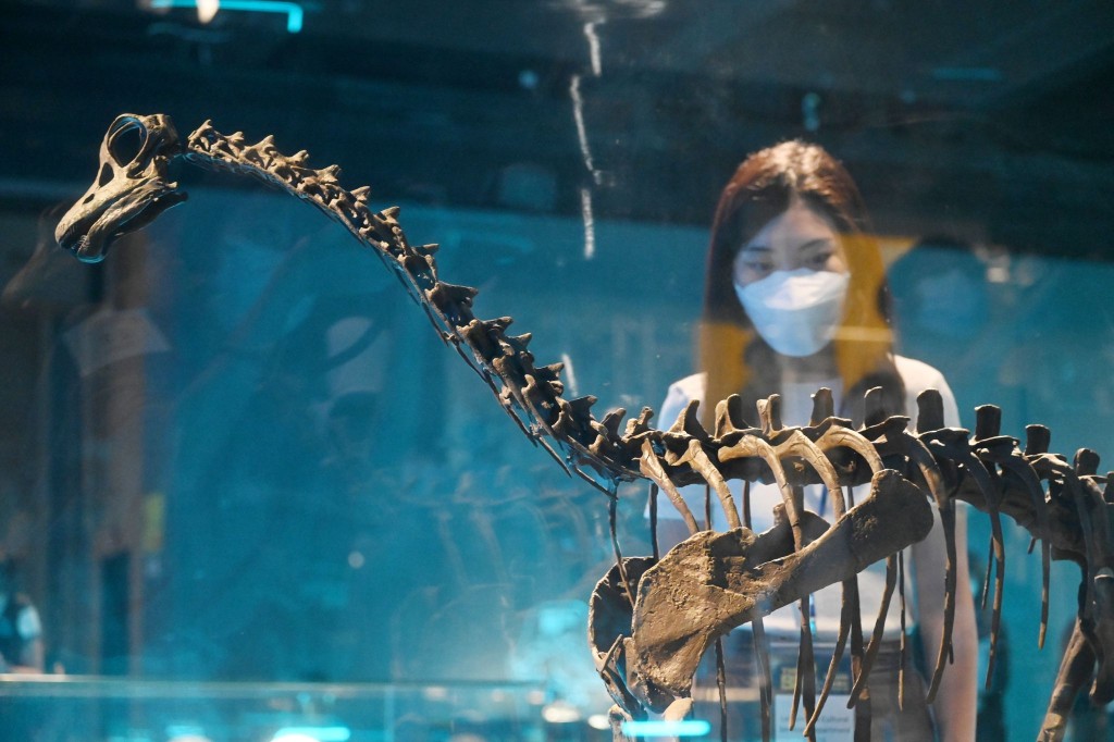 七款恐龍化石模型首次於香港展出。