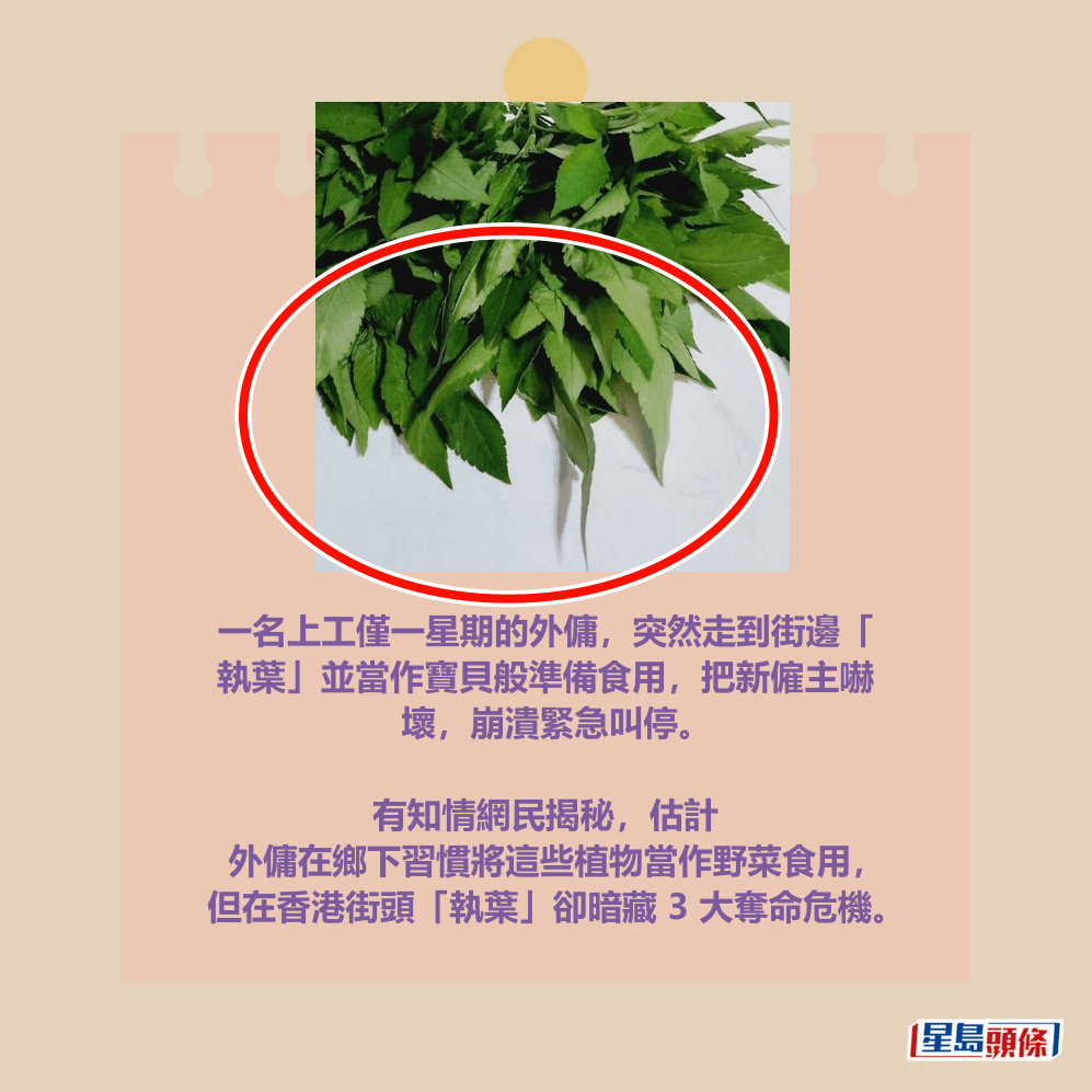 facebook截圖（資料來源：AuthenticCamel3991＠facebook聘請工人姐姐關注組）