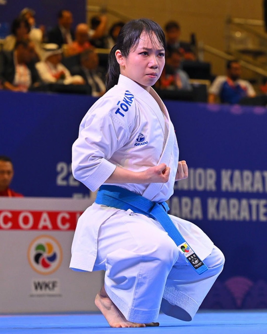 WKF 圖 WKF 圖