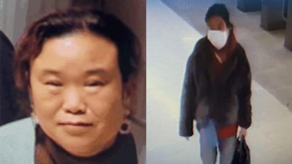 南韓中年婦初三來港 機場入境後失蹤
