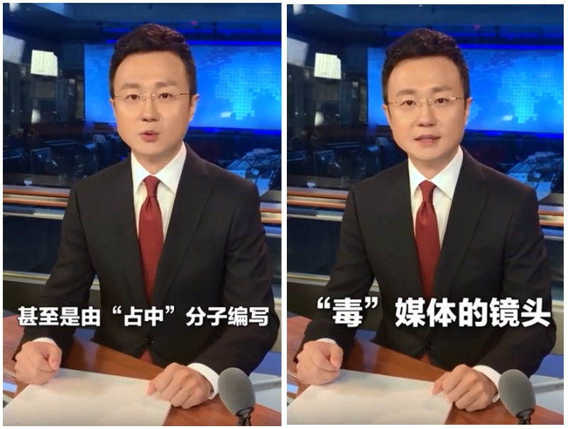 央视主播刚强表示,香港该排毒了。影片截图