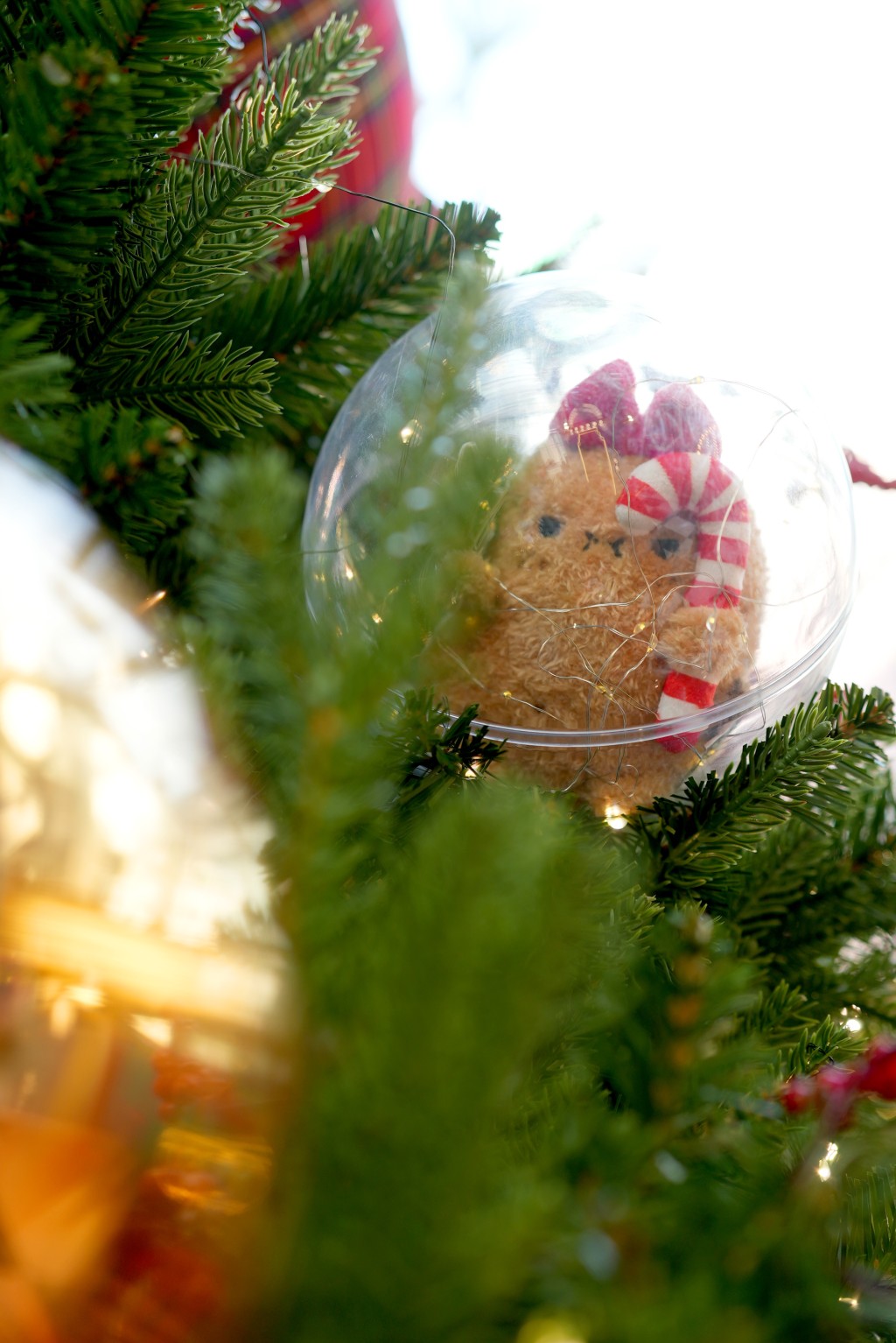 （圖片來源：朗豪坊）