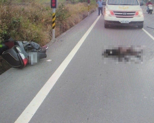 野狗衝出馬路,被撞倒後當場死亡。 網上圖片