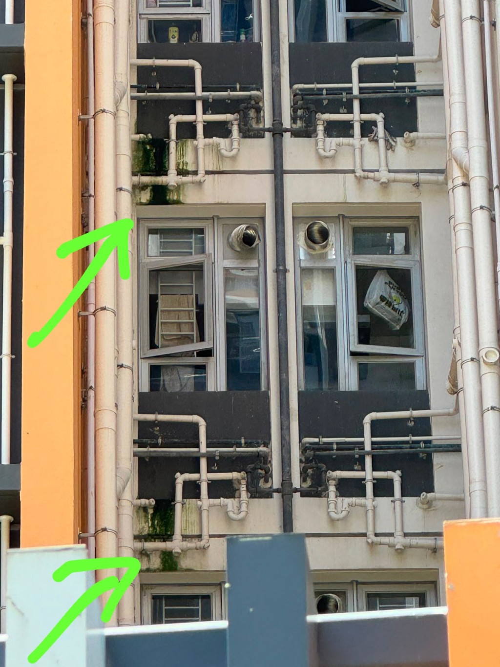 不同位置漏水,生滿青苔。業主吳小姐提供 不同位置漏水,生滿青苔。業主吳小姐提供