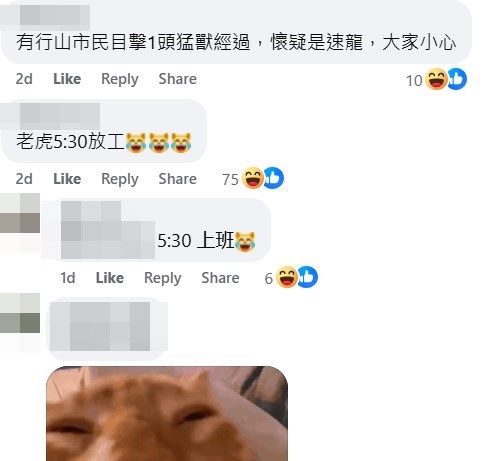 facebook截圖(資料來源:Vincent Lam@facebook香港自然生態論壇 HKWildlife.net) facebook截圖(資料來源:Vincent Lam@facebook香港自然生態論壇 HKWildlife.net)