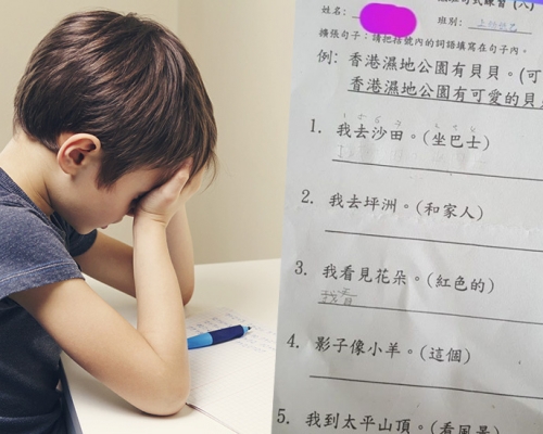 有家長分享其就讀K2兒子的中文功課,要求學生擴充句子。