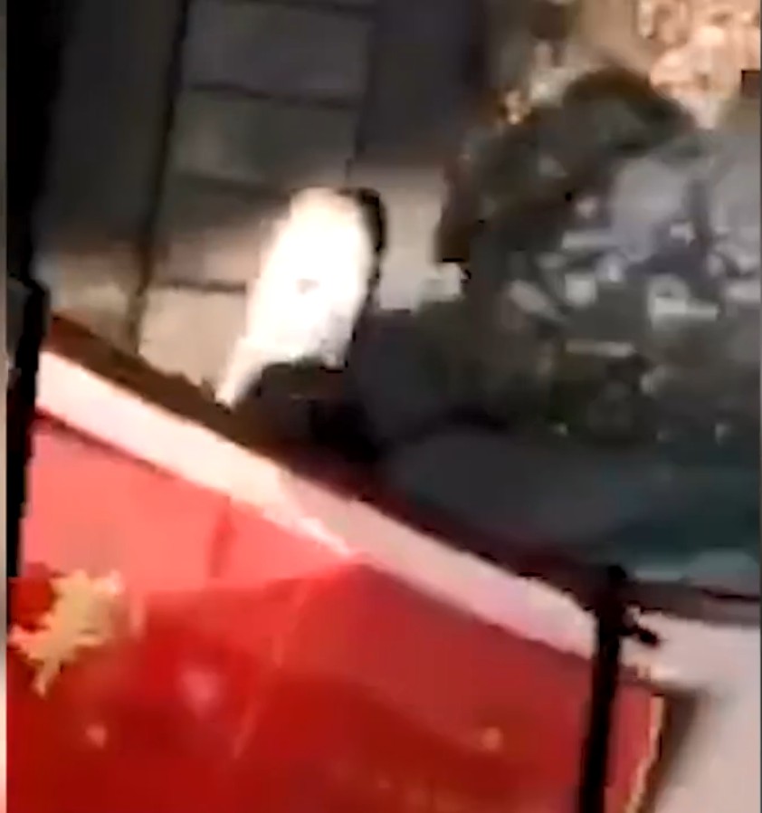 车主购买香烟并交给涉事辅警。影片截图