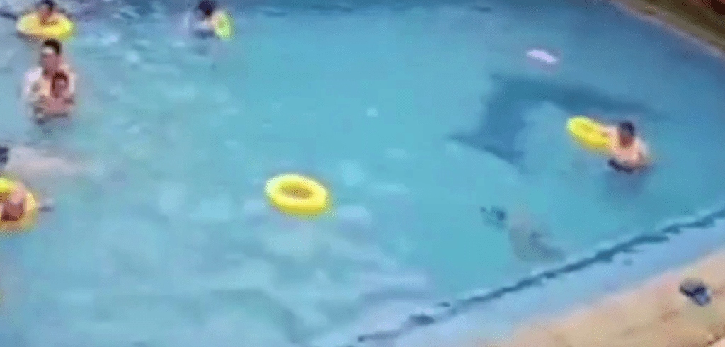 男孩沉入水中，旁边站著的男子当时仍未有反应过来。