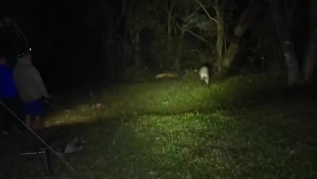 Threads截圖(資料來源:szewai_li@Threads) Threads截圖(資料來源:szewai_li@Threads)