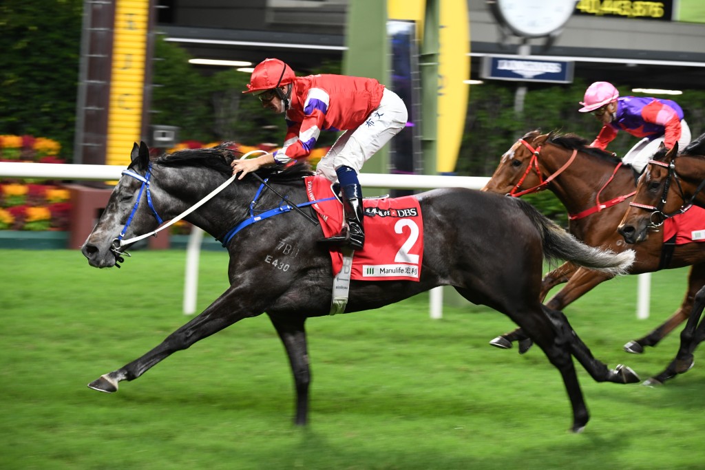 「寶賢得得」(圖) 是八歲老黃忠,在港累積四冠三亞八季。 「寶賢得得」(圖) 是八歲老黃忠,在港累積四冠三亞八季。