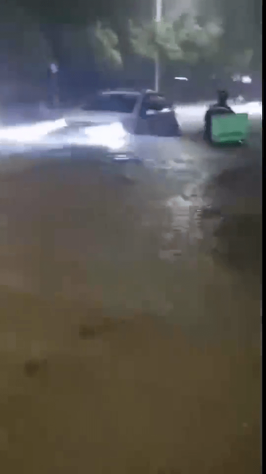 浙江嘉善暴雨水浸严重，水深及膝，汽车和路人受阻。