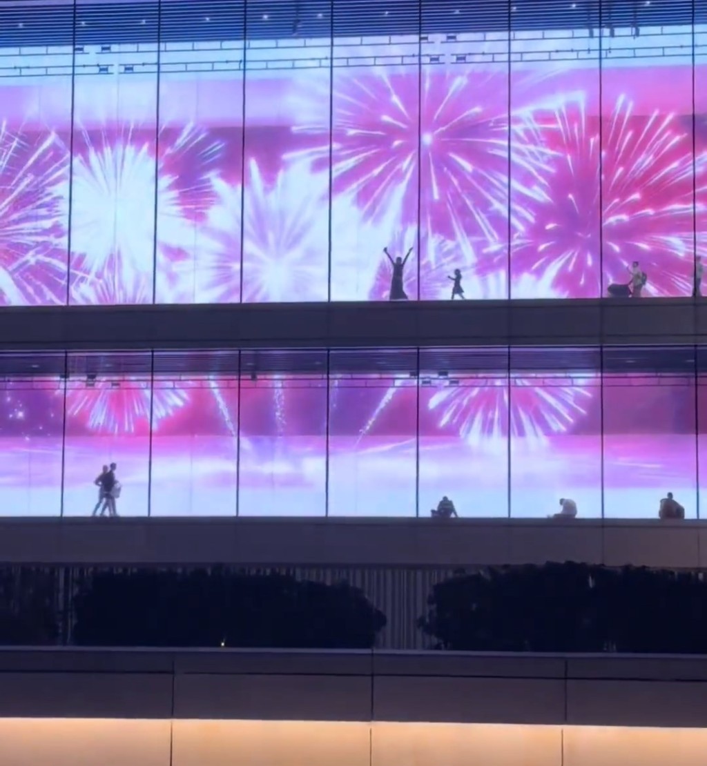 母女旅游上海浦东美术馆期间，在幕墙后忘情跳剪影舞。微博@小怂包