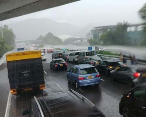 网民Kelvin Ling图片。