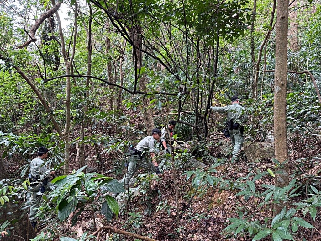 警方反爆竊行動。警方提供 警方反爆竊行動。警方提供