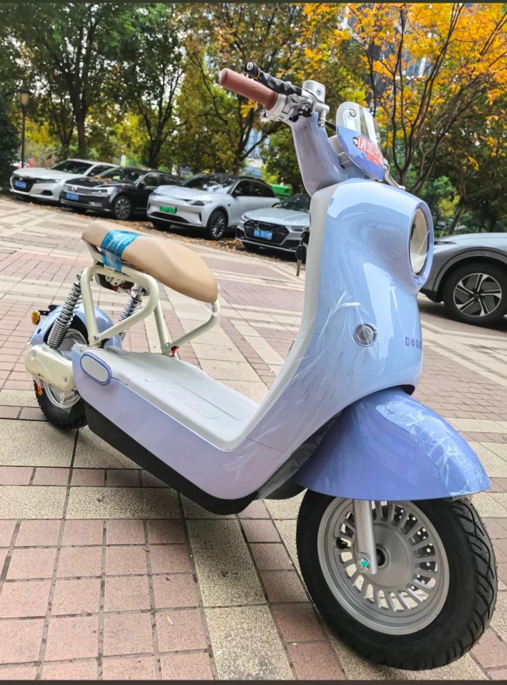 用家對新國標電動車劣評如潮，出現各種調侃與惡搞。小紅書