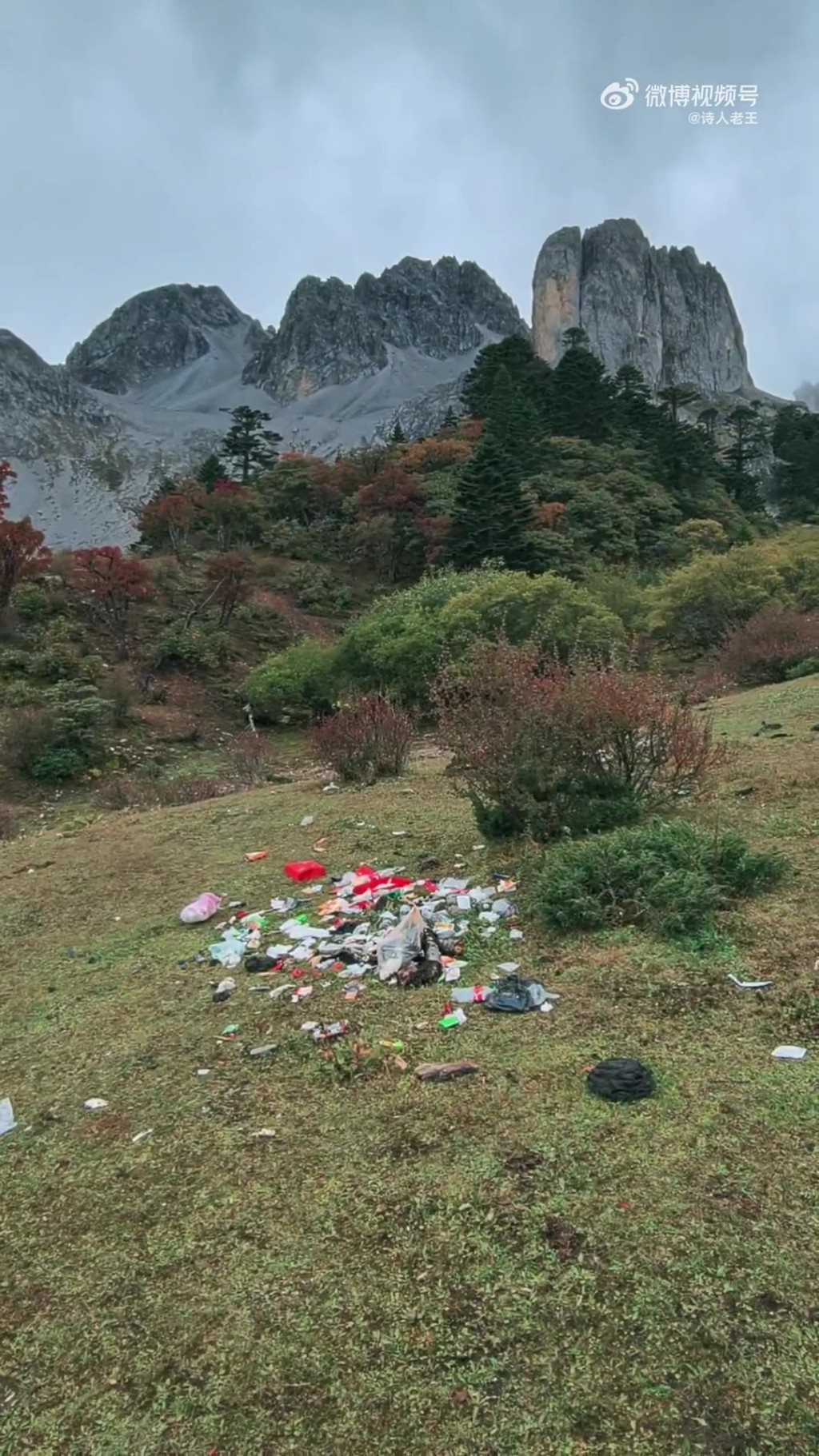 香格里拉4000米高山無人區遍地垃圾,遠足愛好者拍片狂轟。 香格里拉4000米高山無人區遍地垃圾,遠足愛好者拍片狂轟。